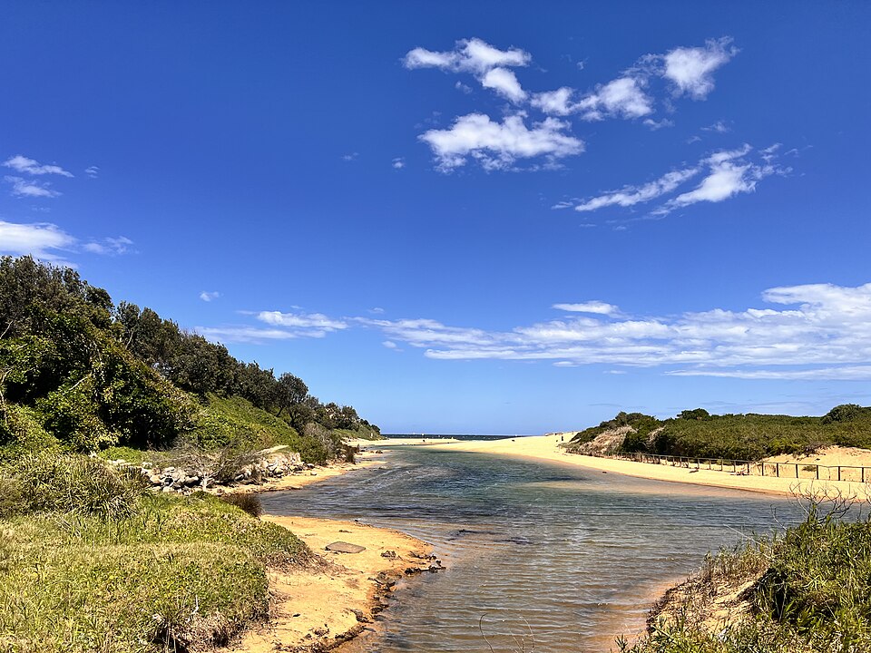 Curl Curl Lagoon — reserve area