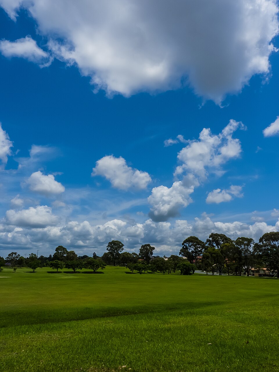 Brisbane suburban parkland — green field