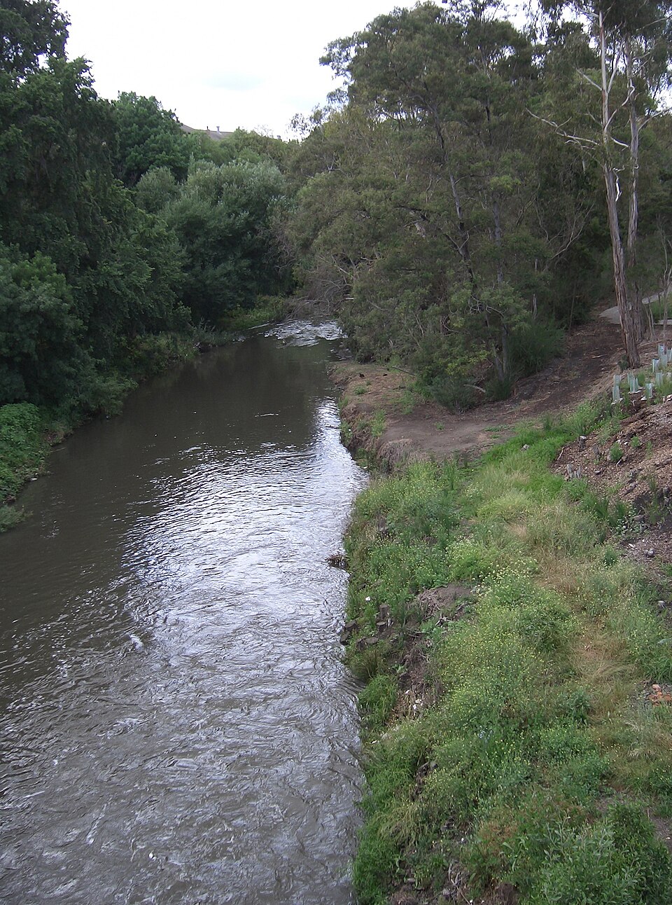 Northcote — creek parkland