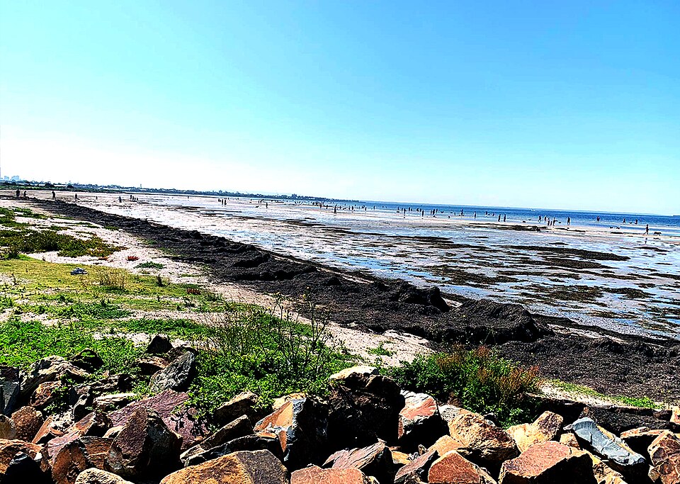 Altona Beach — foreshore near Apex Park