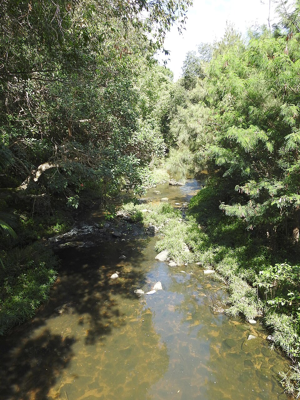 Brisbane riverside park — open grass