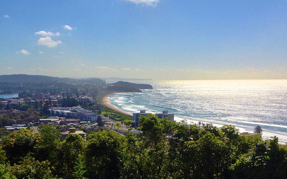 Beacon Hill — northern beaches bushland