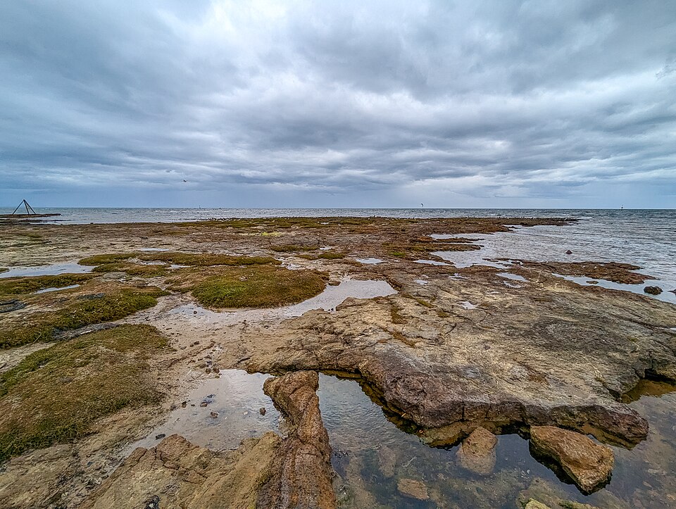 Beaumaris — Ricketts Point landscape