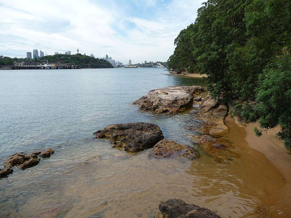 Berry Island Reserve — Wollstonecraft bush walk