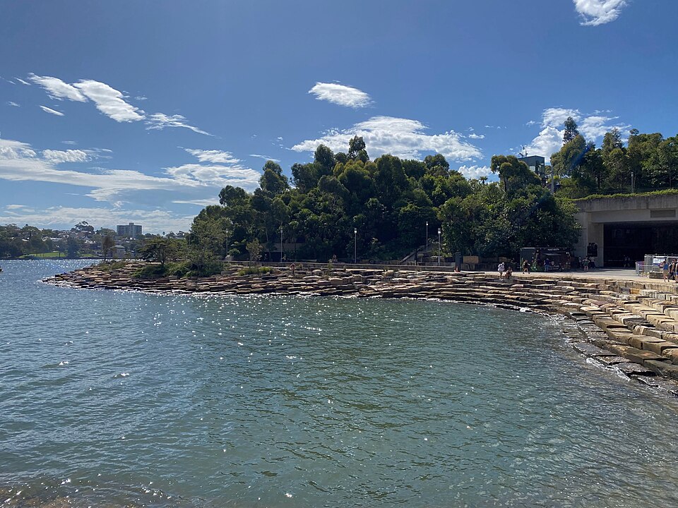 Bicentennial Park West Pymble — parkland and open grass