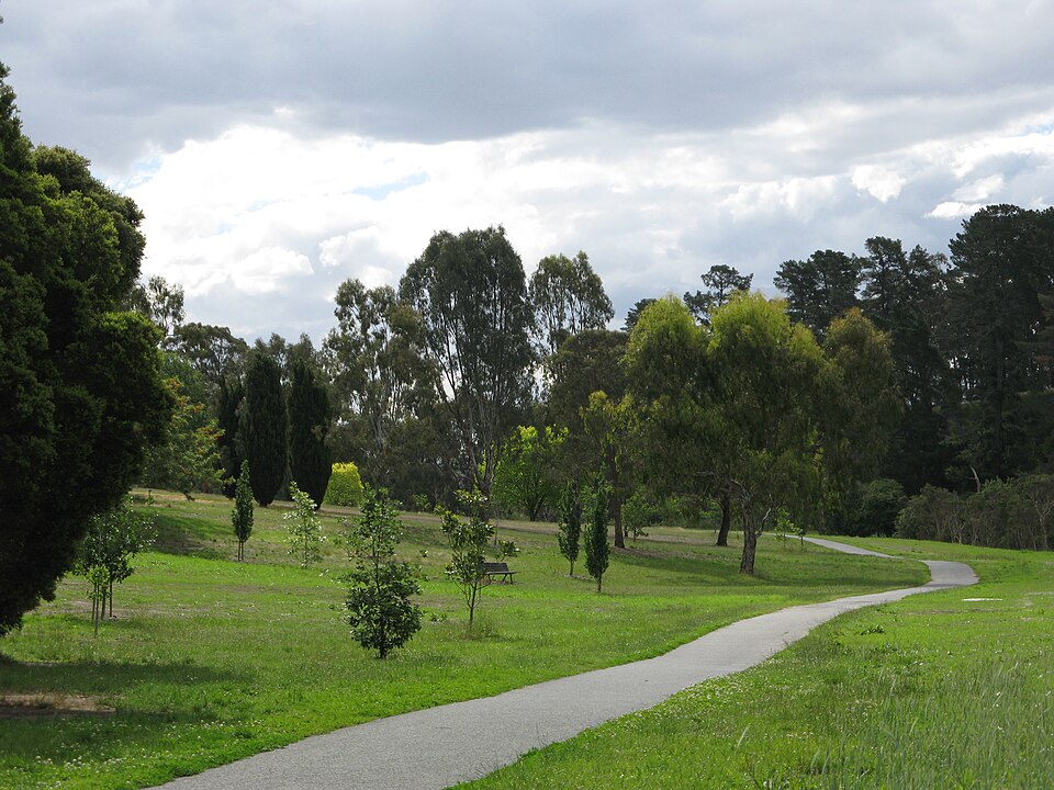 Bicentennial Park West Pymble — parkland and open grass
