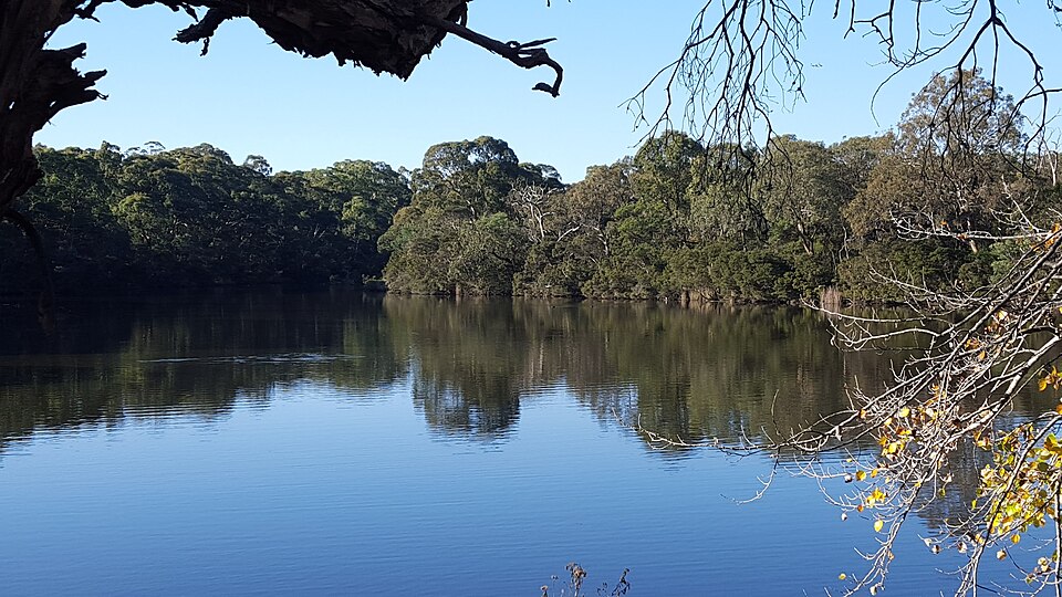 Blackburn Creeklands — lake surrounds