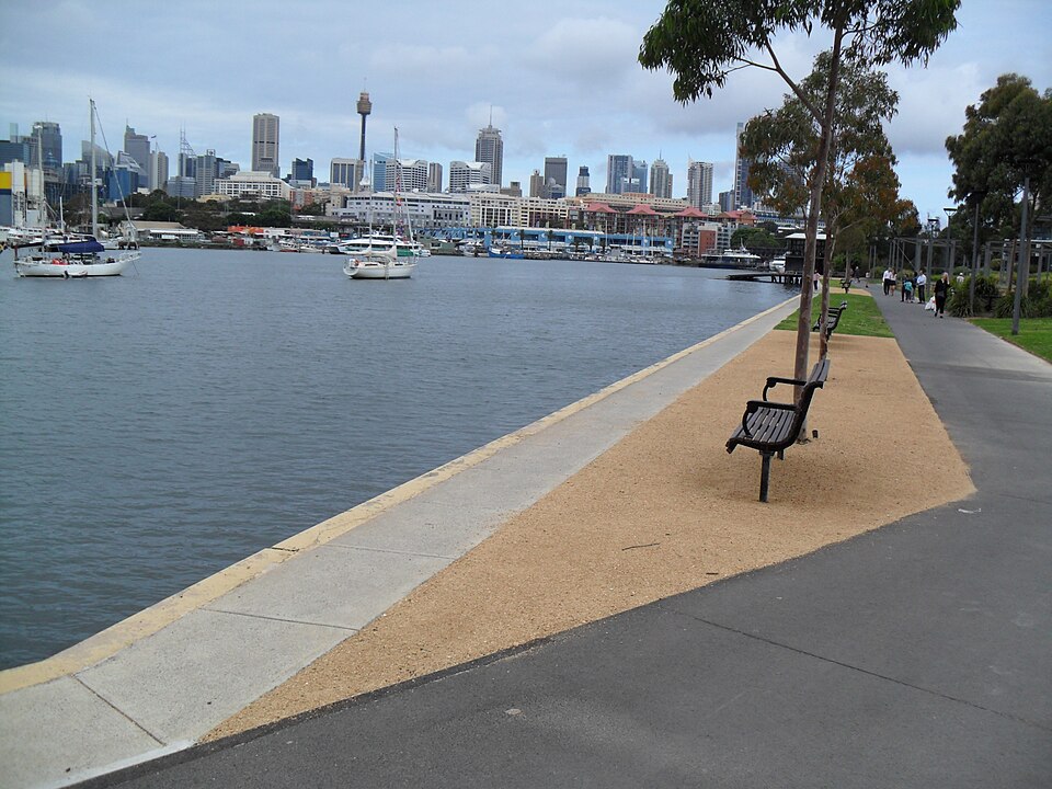 Blackwattle Bay — harbour view