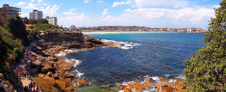 Bondi to Coogee — coastal cliff walk