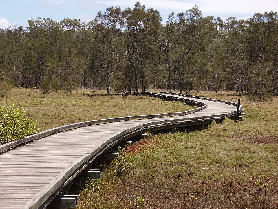Boondall Wetlands — wetland boardwalk area
