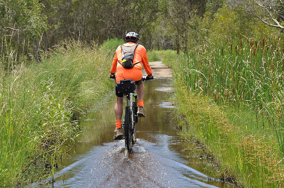 Boondall Wetlands — bike and walking path