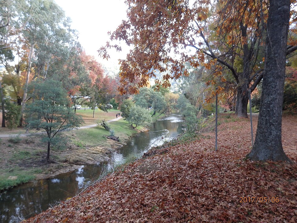 Canyon Walk Bright — autumn riverside path