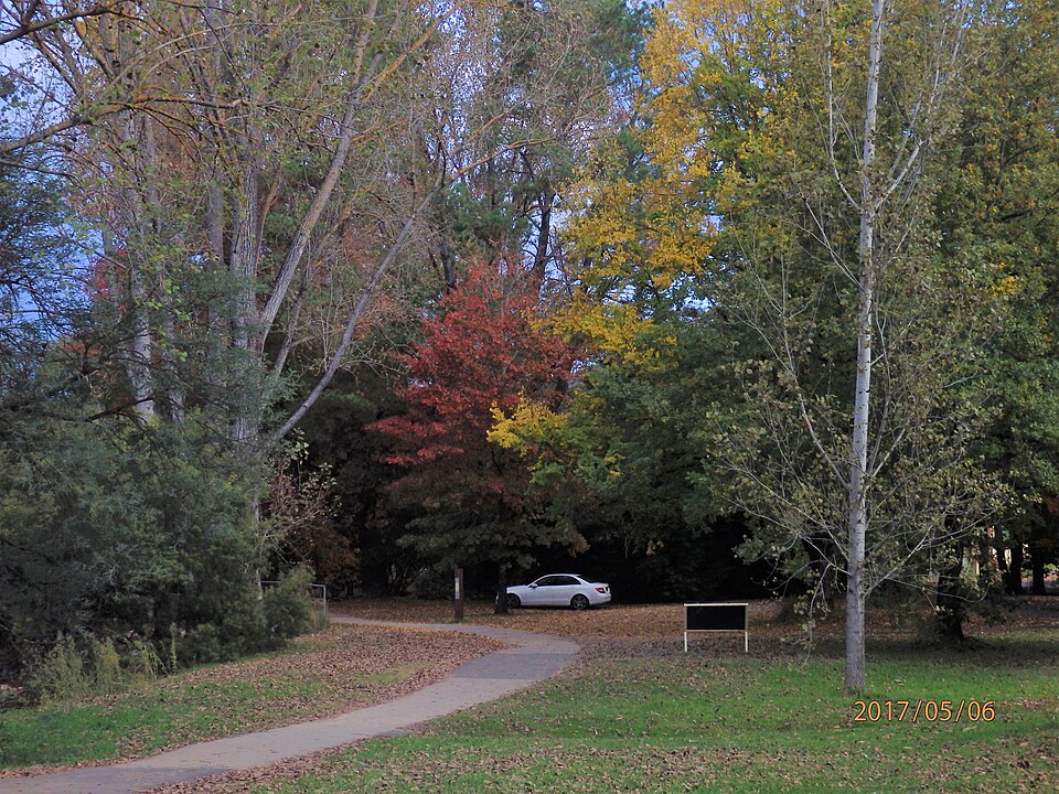 Canyon Walk Bright — walking track
