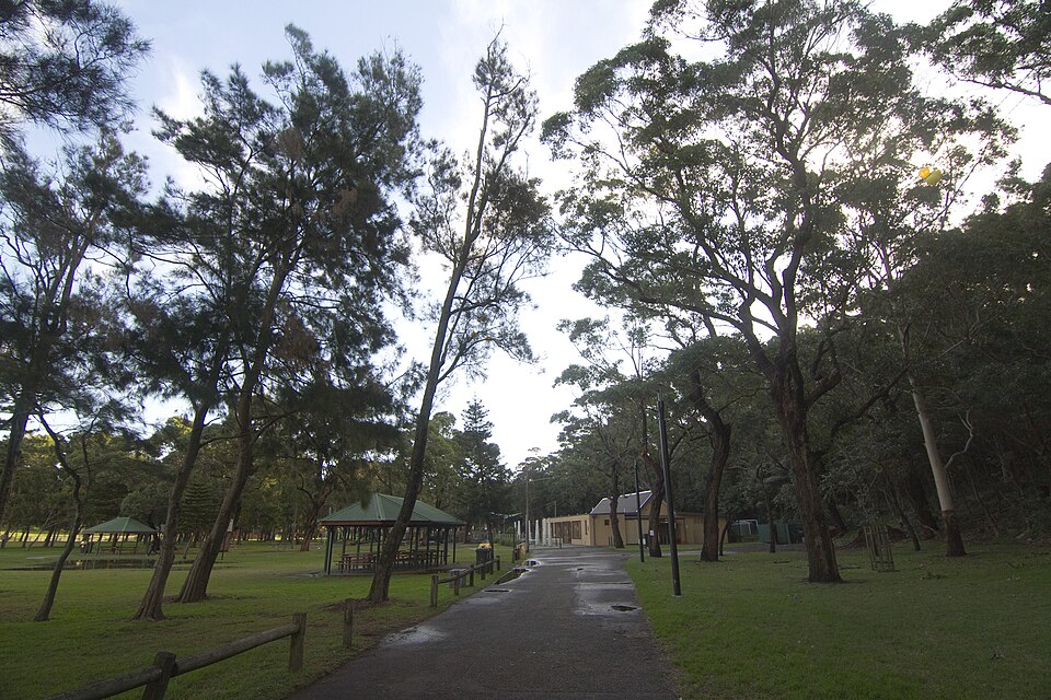 Carss Park Dog Park — park and surrounds