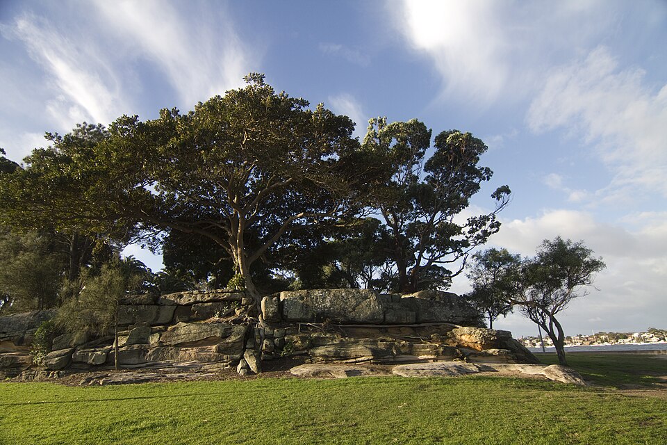 Carss Park Dog Park — second view