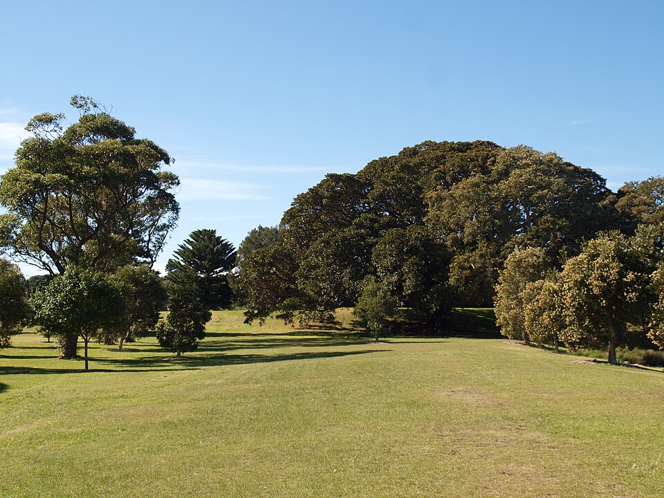 Centennial Park — grassy loop walk