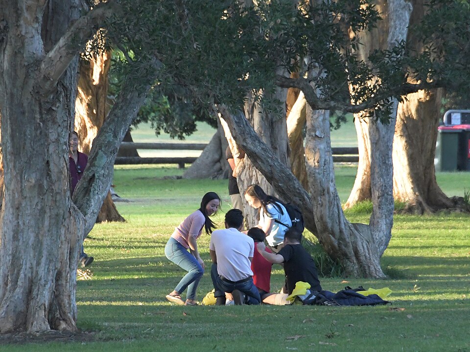 Centennial Parklands — paths and trees