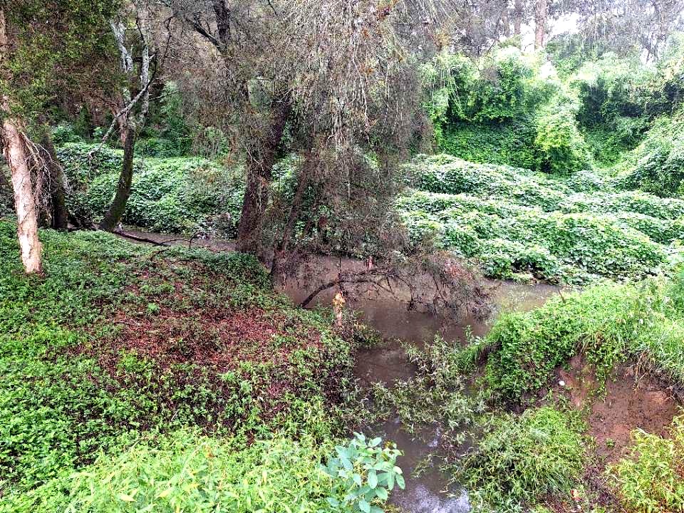 Merrylands — western Sydney park