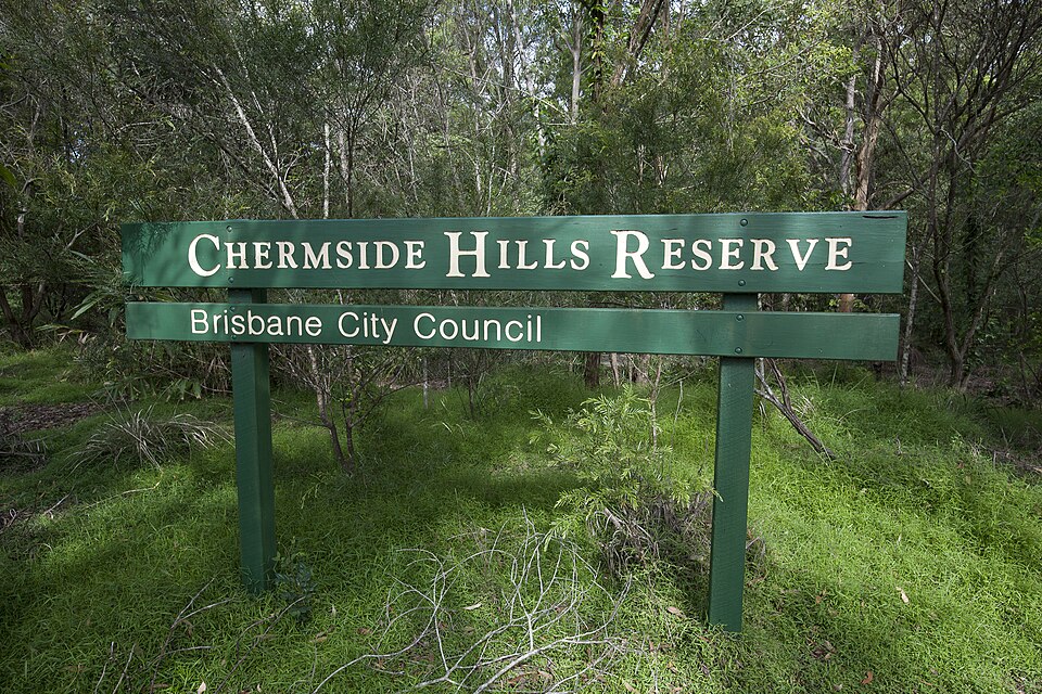 Chermside Hills Reserve — forest path