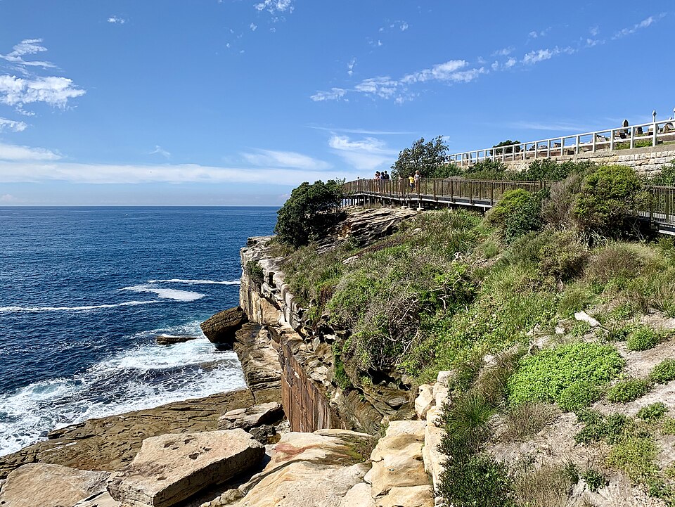 Eastern Beaches Coastal Walk — Clovelly cliffs