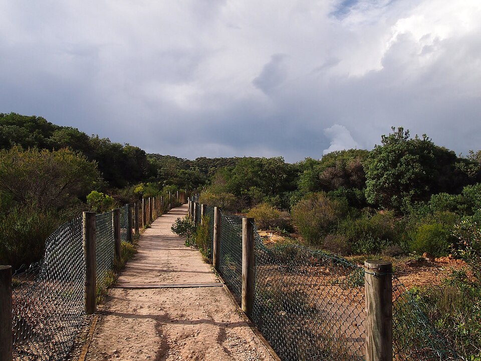 Congwong Bay — La Perouse foreshore