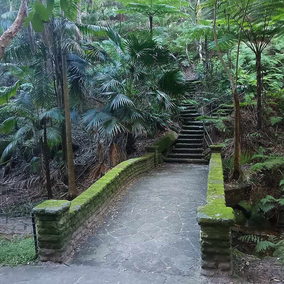 Cooper Park Bellevue Hill — bush loop