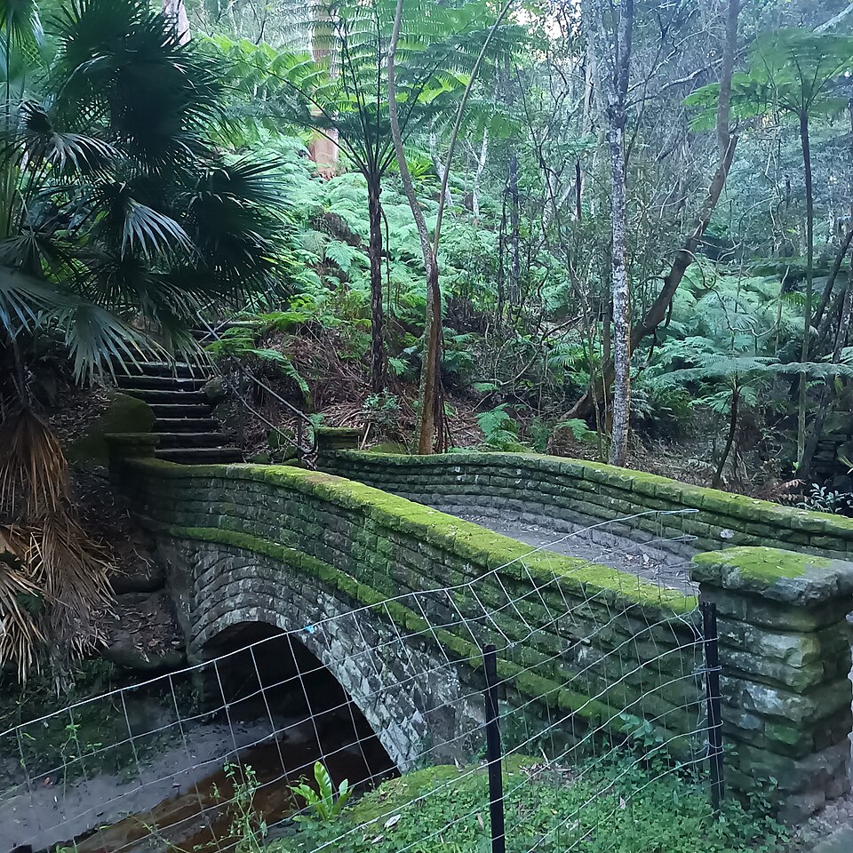 Cooper Park — walking track through trees
