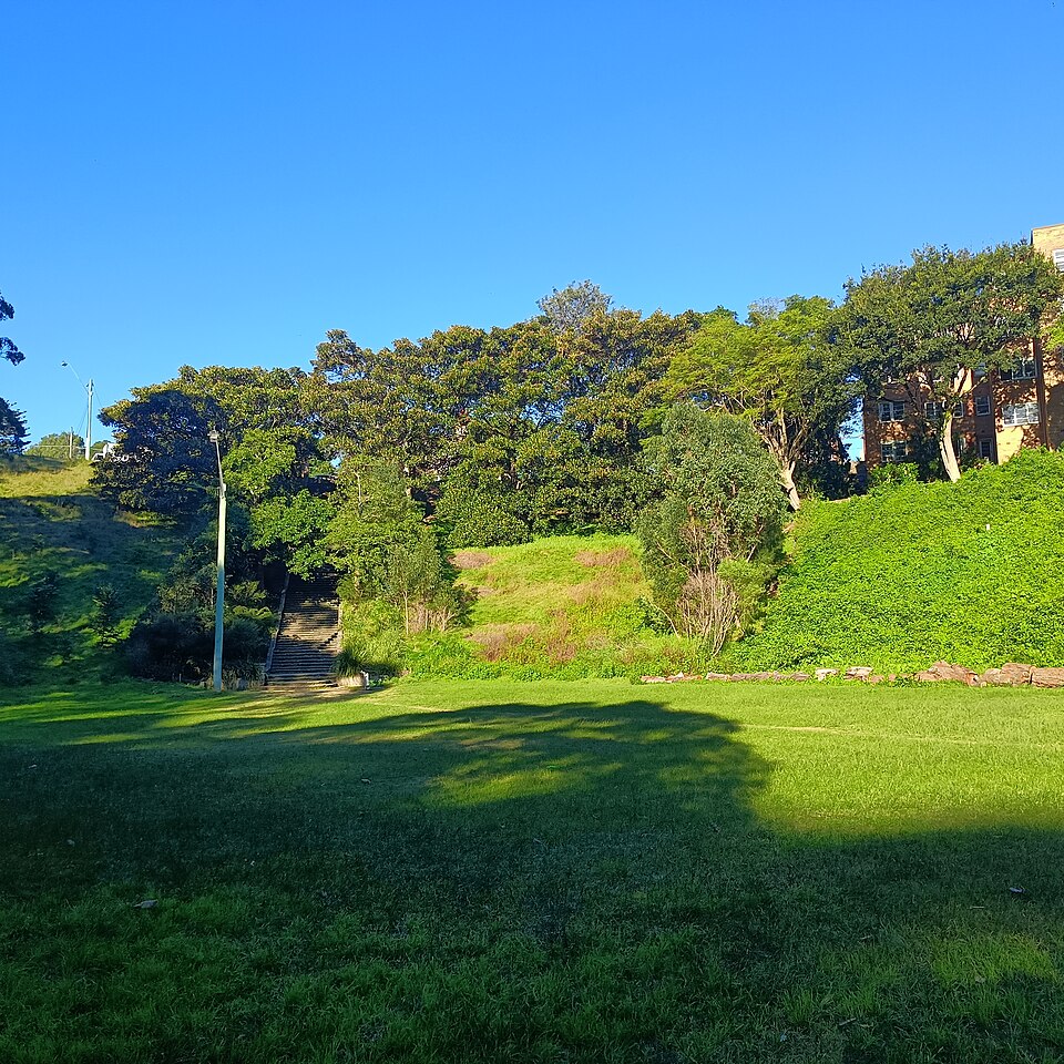 Cooper Park — shaded bush path