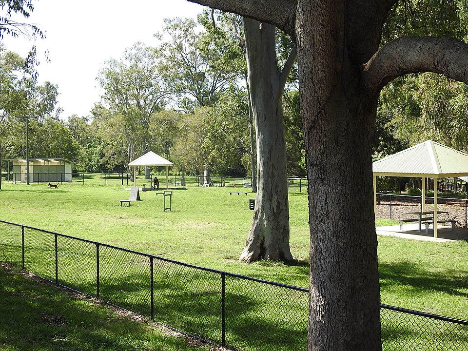 Inner north Brisbane parkland — open grass