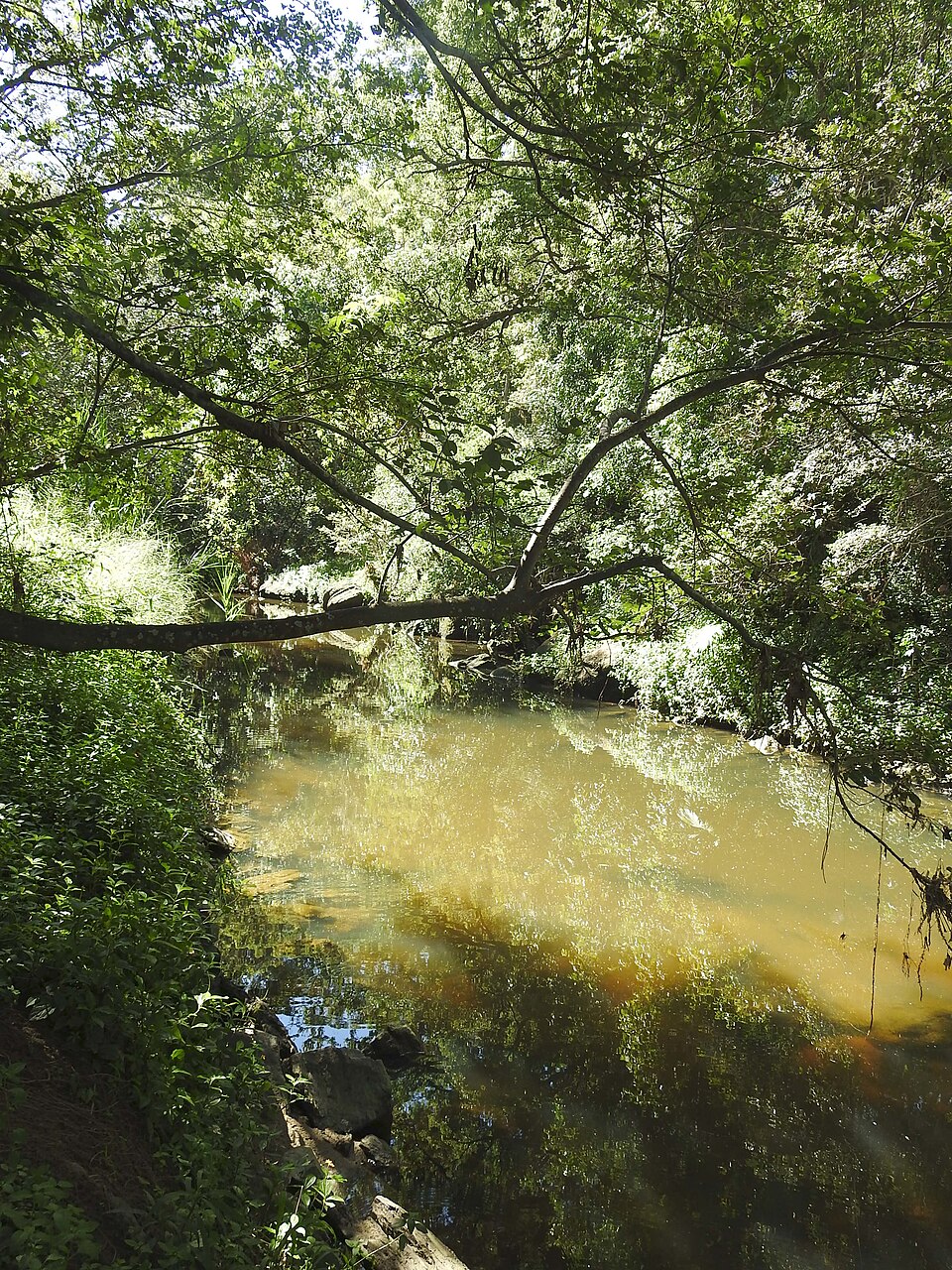 Kedron Brook corridor park — green reserve