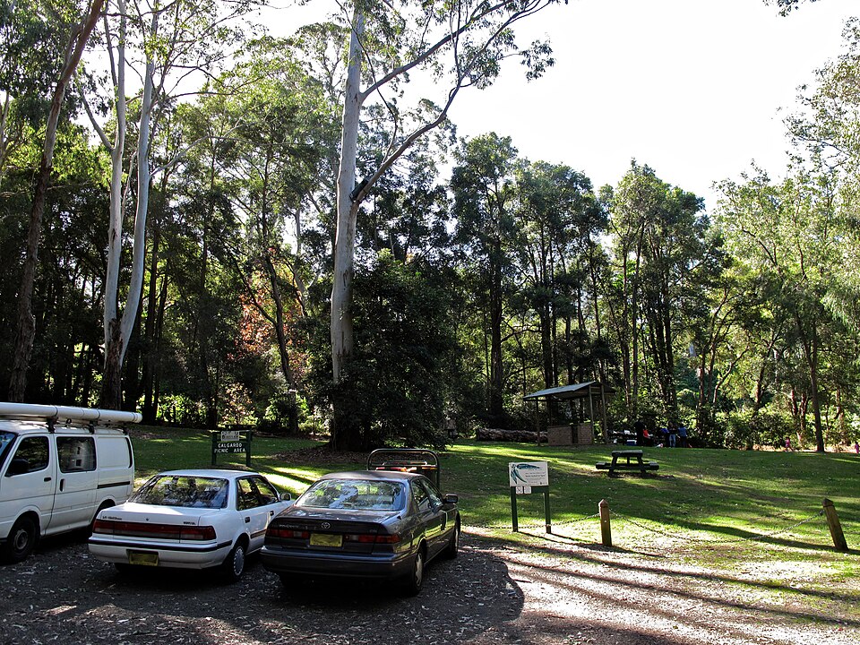 Cumberland State Forest — forestry trail