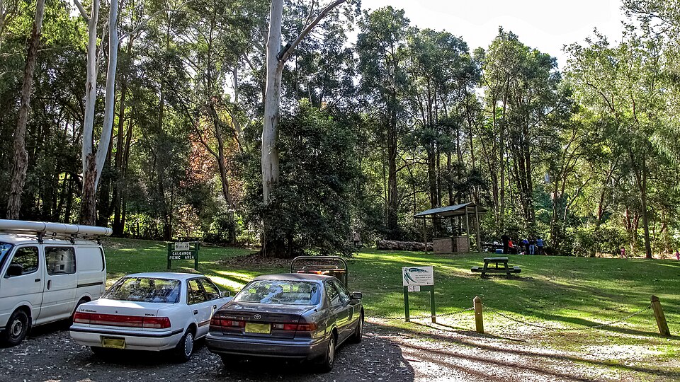 Cumberland State Forest — bush track