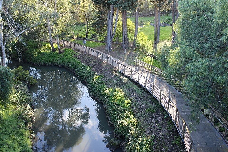 Darebin Creek Trail — Ivanhoe bridge view