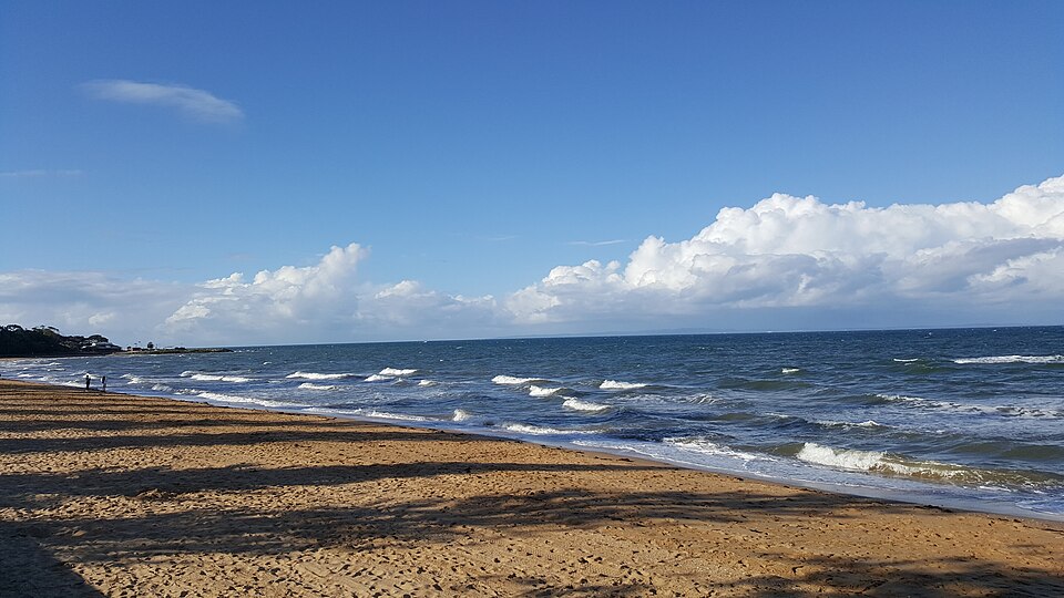 Moreton Bay north — sandy foreshore