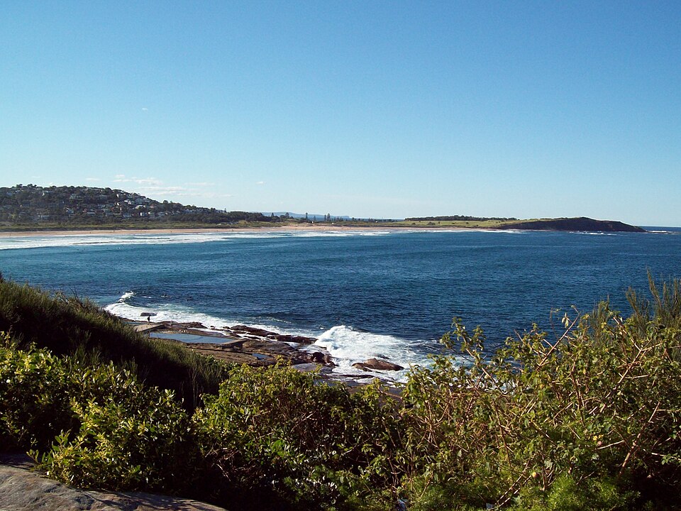Dee Why Cliffs — coastal cliff walk