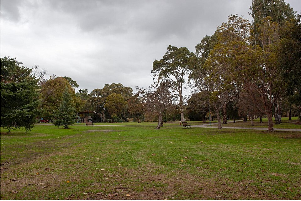 Brighton — Landcox Park grass