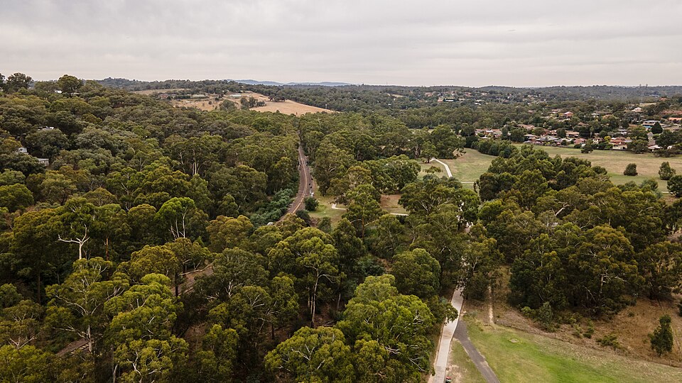 Diamond Creek — bush trail