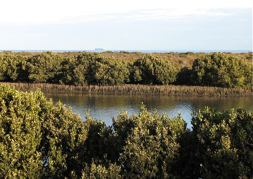 Altona Coastal Park — Kororoit Creek