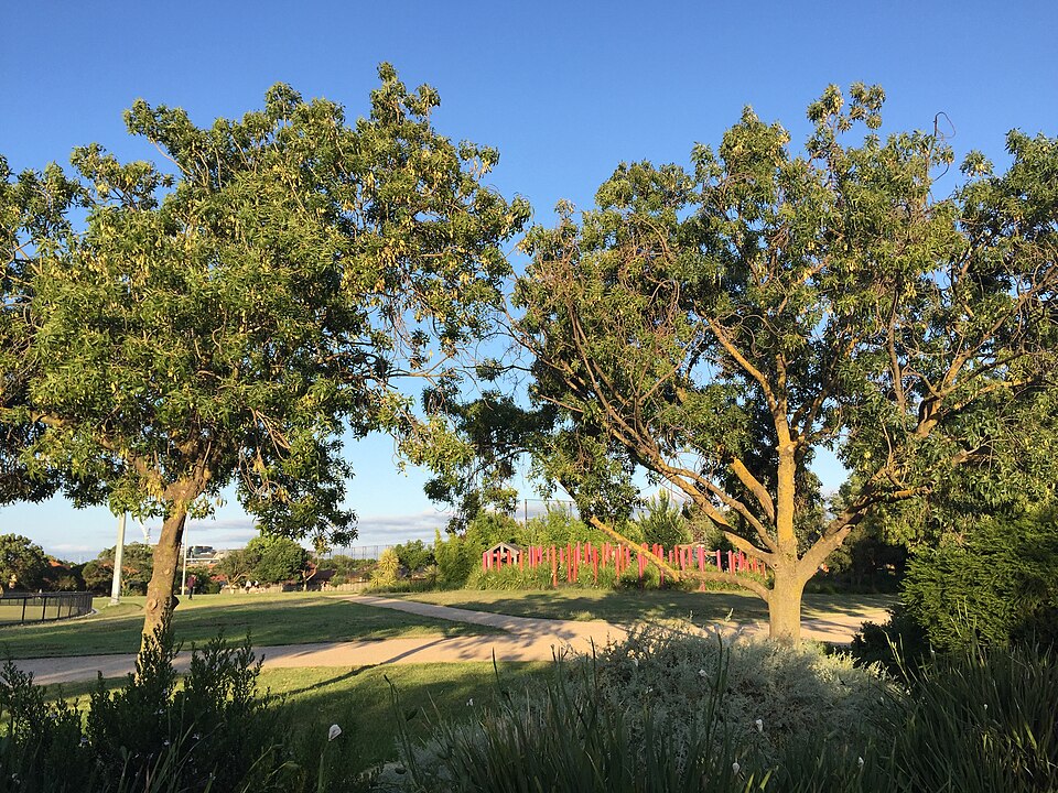 Duncan McKinnon Reserve — Murrumbeena area