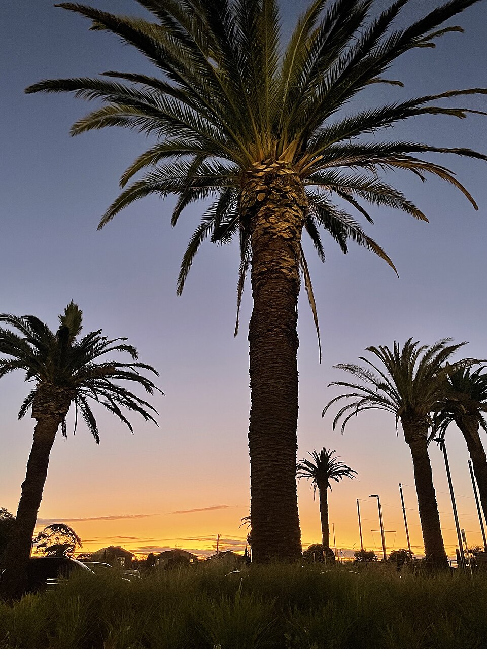Duncan McKinnon Reserve — Murrumbeena area