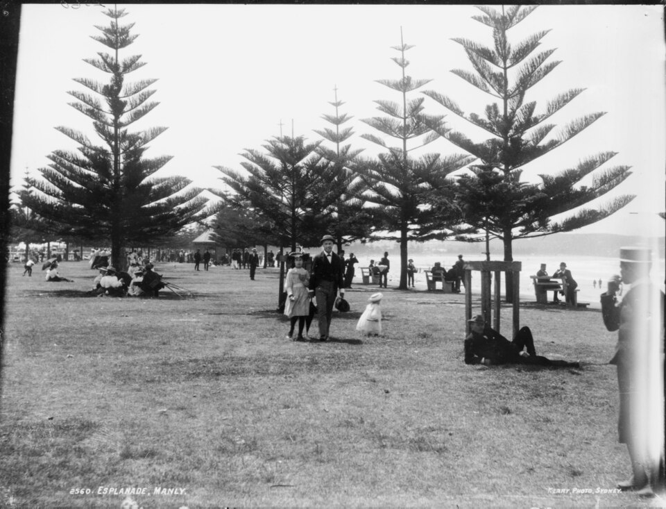Manly — The Esplanade foreshore