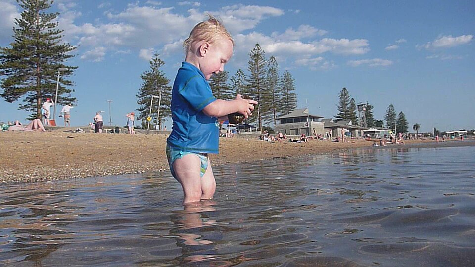 Elwood dog beach — coastal views