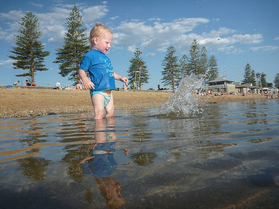 Elwood dog beach — coastal views