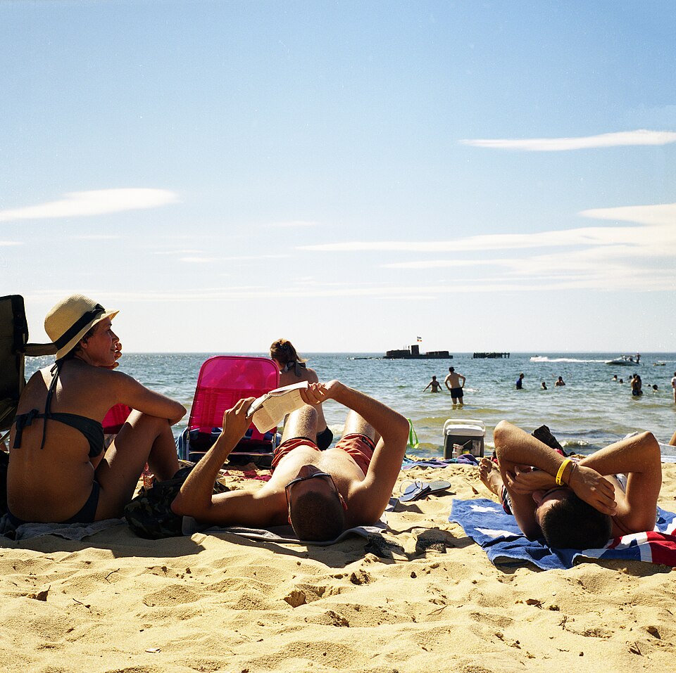 Bayside — coastal park surrounds