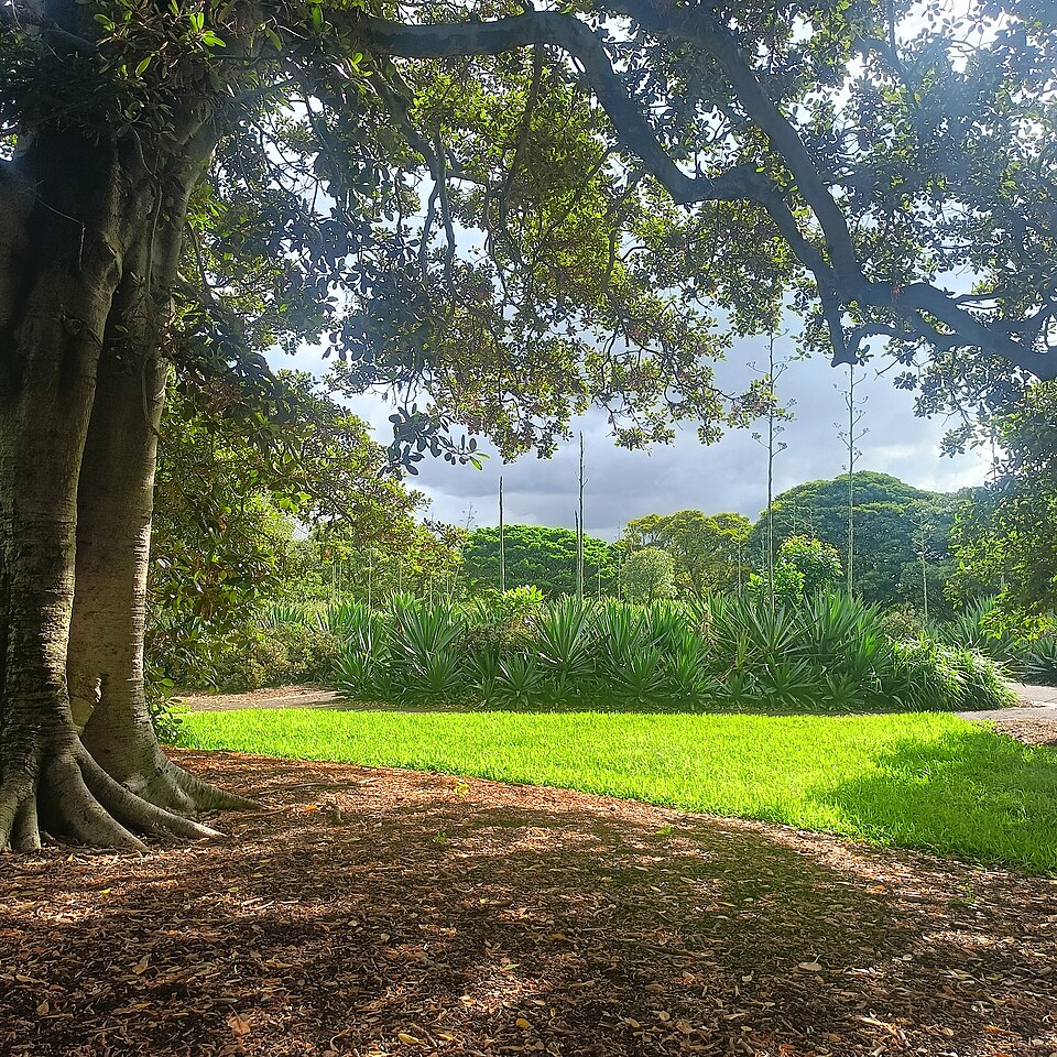 Annandale — Jubilee Park near Federal Park