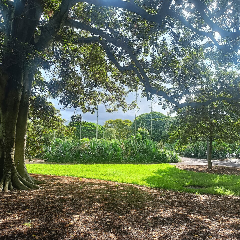 Annandale — Jubilee Park waterfront
