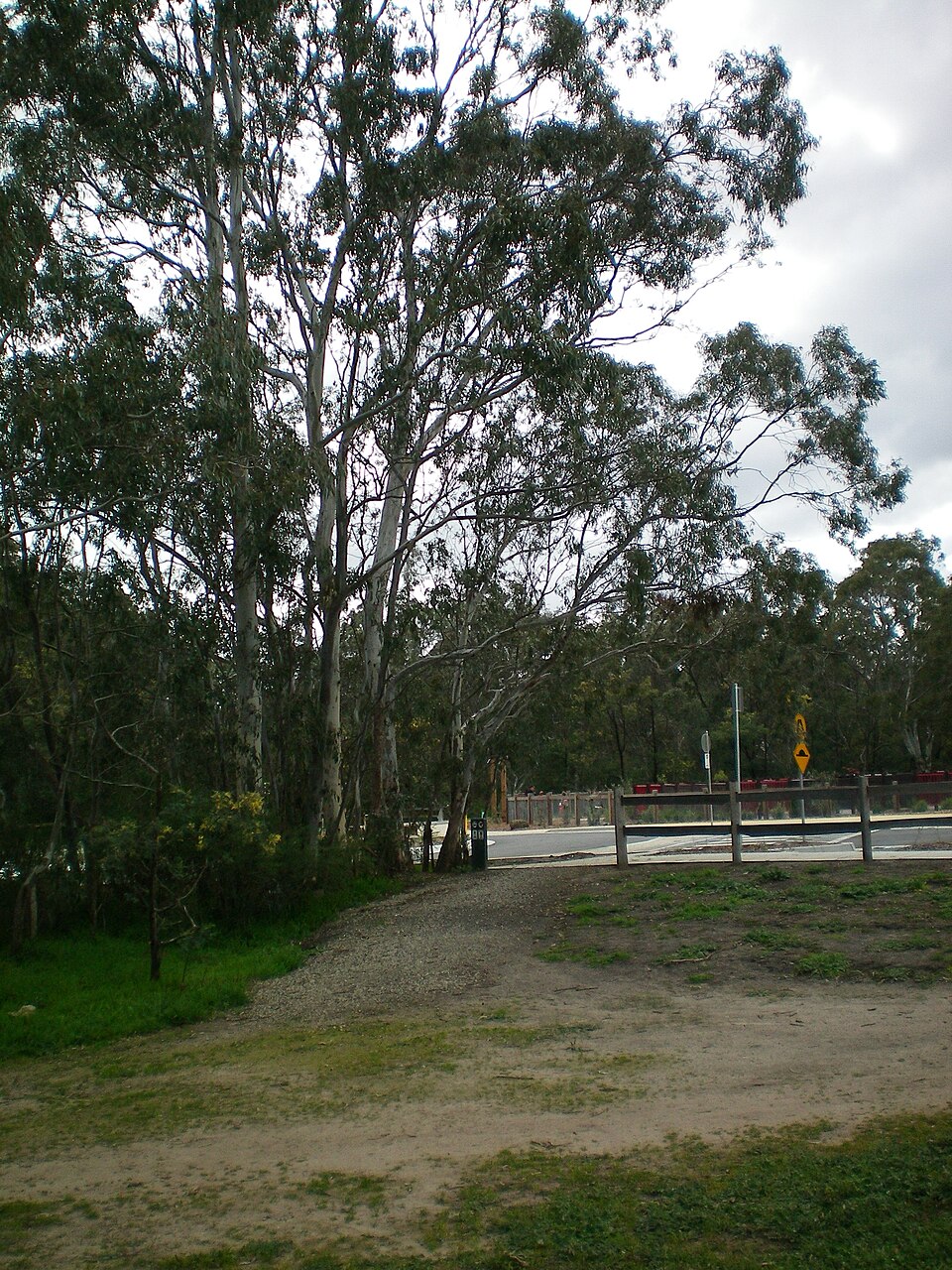 Finns Reserve — walking track