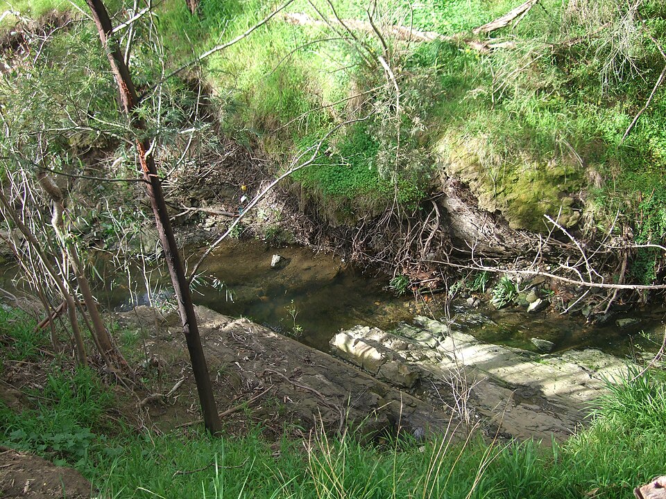 Finns Reserve — creek and bush