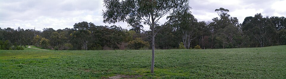 Finns Reserve — Templestowe parkland