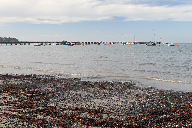 Flinders foreshore — pier and beach